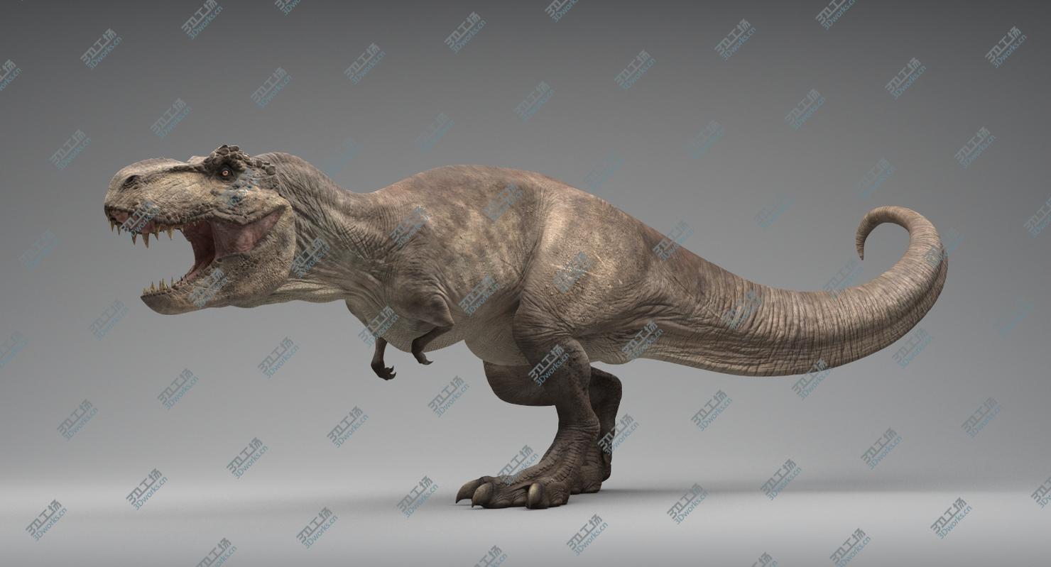 images/goods_img/20210113/Tyrannosaurus Rex Animated 3D model/3.jpg